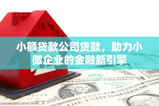 河口小额贷款公司贷款，助力小微企业的金融新引擎