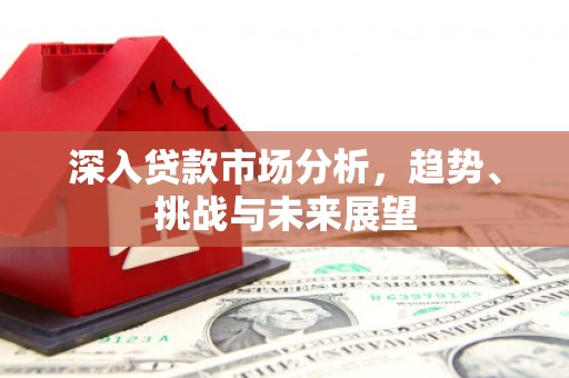河口深入贷款市场分析，趋势、挑战与未来展望