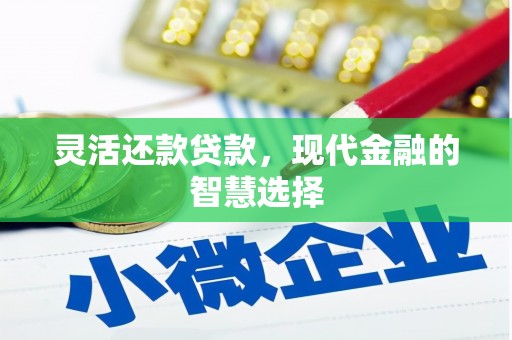 河口灵活还款贷款，现代金融的智慧选择