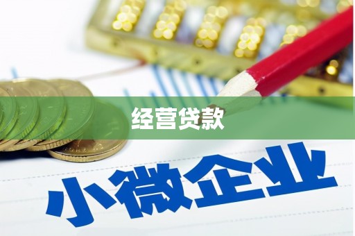 河口经营贷款