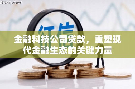河口金融科技公司贷款，重塑现代金融生态的关键力量