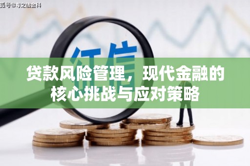 河口贷款风险管理，现代金融的核心挑战与应对策略