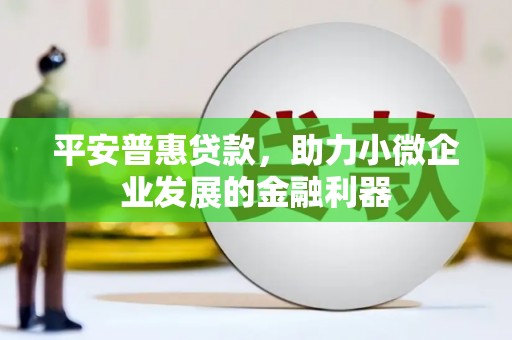 河口平安普惠贷款，助力小微企业发展的金融利器