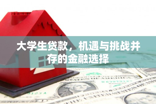 河口大学生贷款，机遇与挑战并存的金融选择