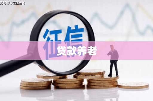 河口贷款养老