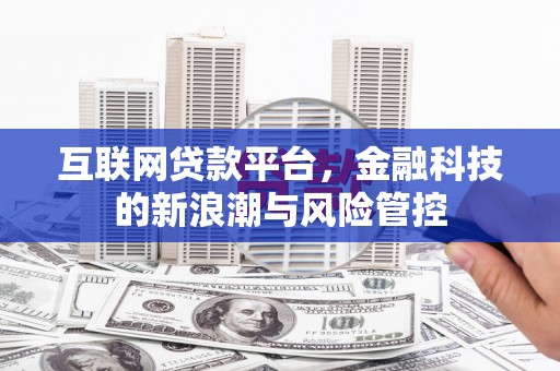 河口互联网贷款平台，金融科技的新浪潮与风险管控