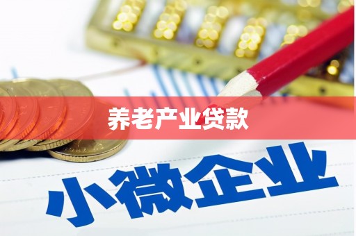 河口养老产业贷款