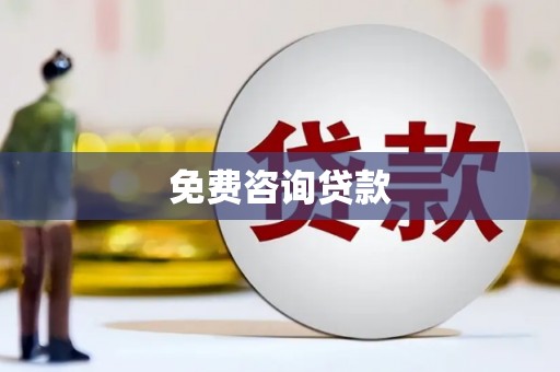 河口免费咨询贷款