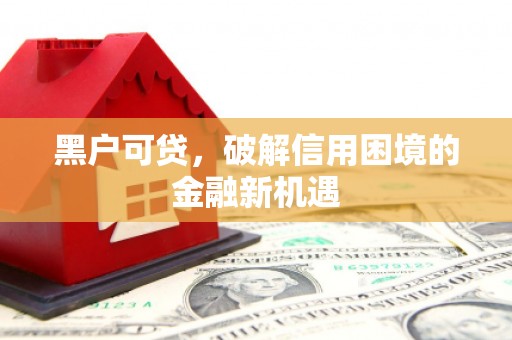 河口黑户可贷，破解信用困境的金融新机遇
