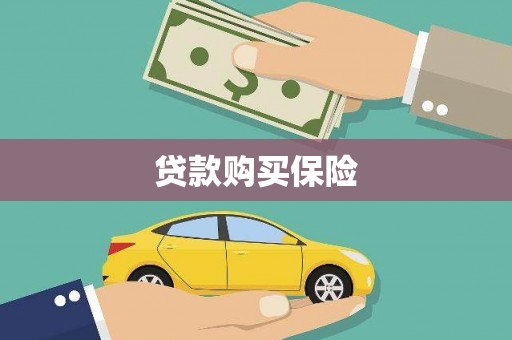 河口贷款购买保险