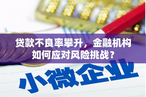 河口贷款不良率攀升，金融机构如何应对风险挑战？