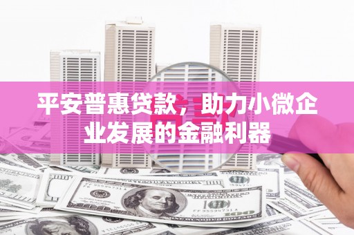 河口平安普惠贷款，助力小微企业发展的金融利器
